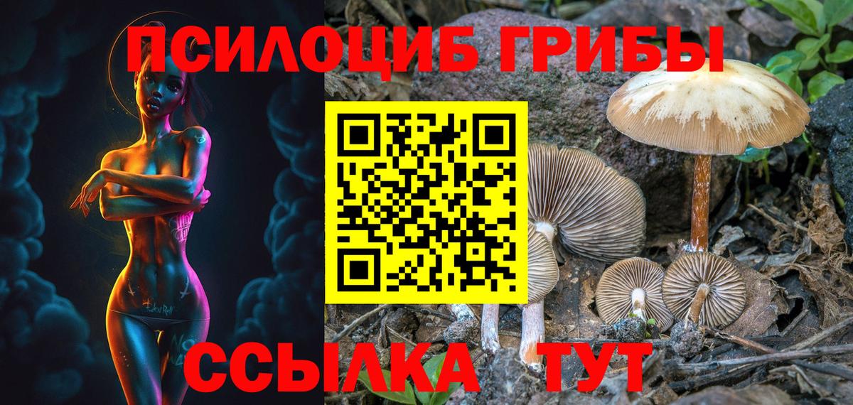 сколько стоит  Вход с VPN  Чернушка  Псилоцибиновые грибы GOLDEN TEACHER 