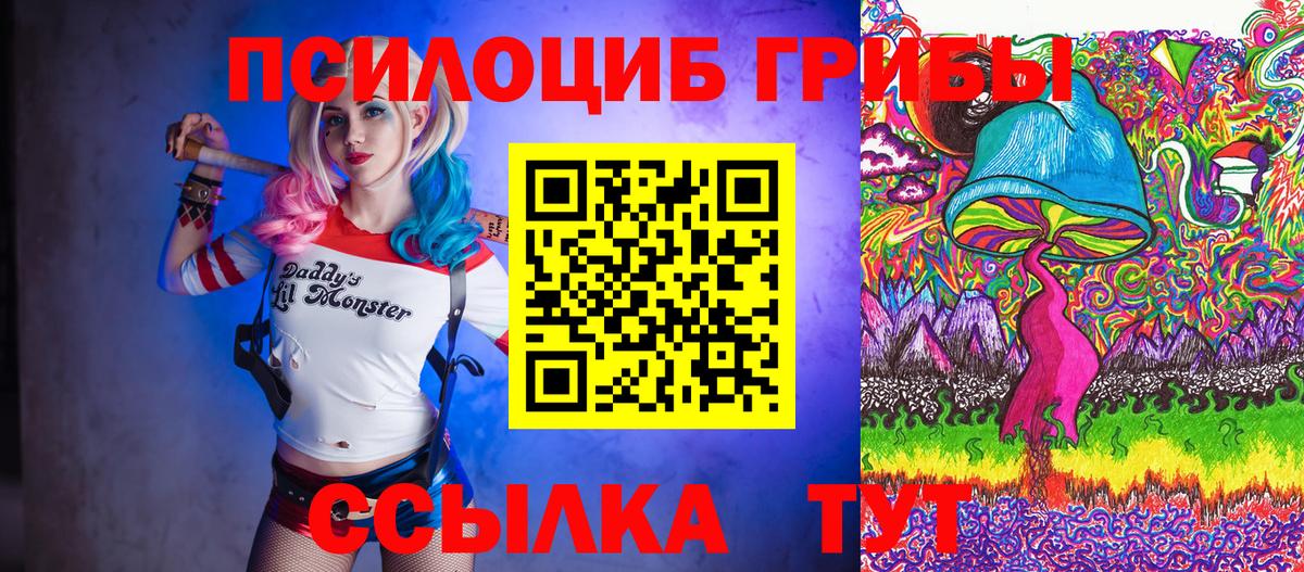 Галлюциногенные грибы Magic Shrooms Чернушка